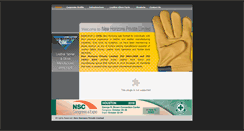 Desktop Screenshot of newhorizonsltd.in